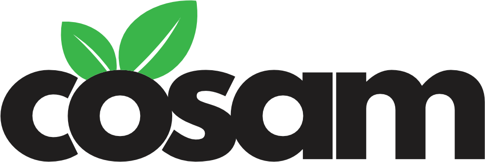 BootstrapBrain Logo